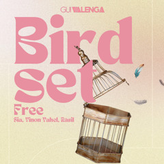 Sia, Yinon Yahel, Rásil - Bird Set Free (Valenga Rework)