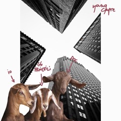 ROSSOPILLATO//YOUNGCAPRE+GGPROIETTILI+DOC