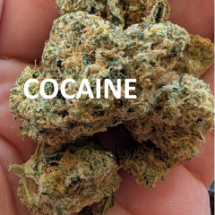 fistfulsofcocaine
