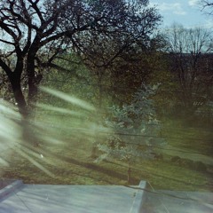 Project 3 November 7 - "Attempt"