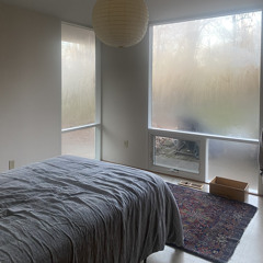 birdsoutsidethewindowonafoggymorning.wav