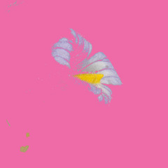 2.