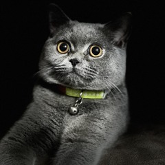 Back to skool😈🤷🏻‍♂️