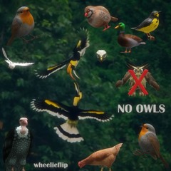 No Owls