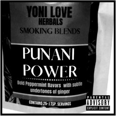 Punani Power (Prod by Bo Jackson)