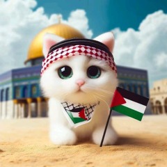 JEAN LUC PIKACHU FREE PALESTINE CHAPADA DE DOCE MIX