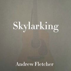 Skylarking