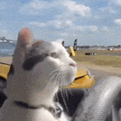 can you tokyo drift? CRANKDAT & Laeko edit/mix