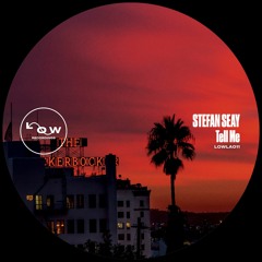 PREMIERE: Stefan Seay - Tell Me You Feel It Too (Etari Remix) [Low Recordings]