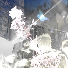Orchidée Fantôme