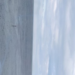 Floral Etiquette v1: Haunted by Flowers