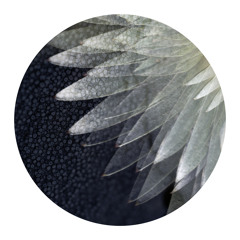 Aquarius 138 (Ambient Version)