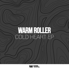 Warm Roller - Starfall (Original Mix)