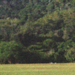 weekend (gil) freestyle