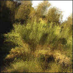 CICADAS