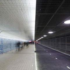 SLUTERDIJK 006-TUNNELVISIE(VISIÓN DE TÚNEL)
