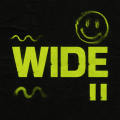 WiDE