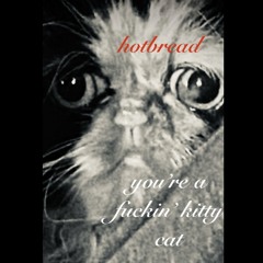 you’re a fuckin’ kitty cat