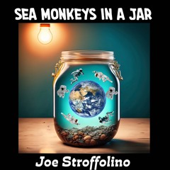 Sea Monkeys In A Jar