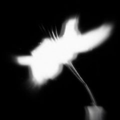 КАЖДЫЙ ДЕНЬ