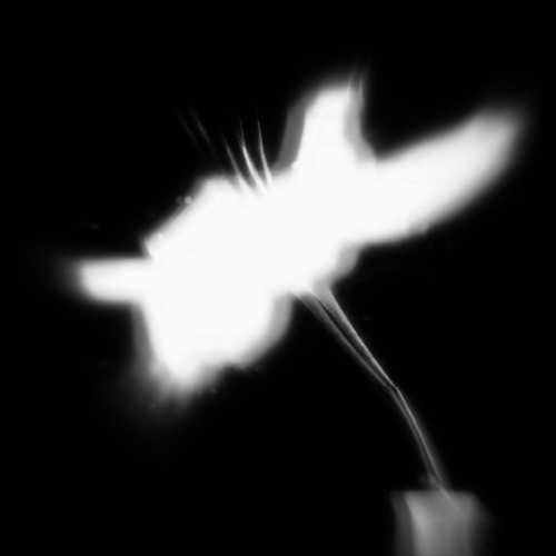 2ND FMP* INTERLUDE (prod. by keisky)