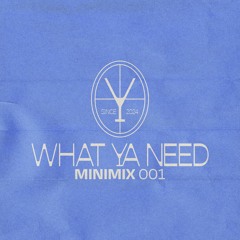 What Ya Need - Minimix 001