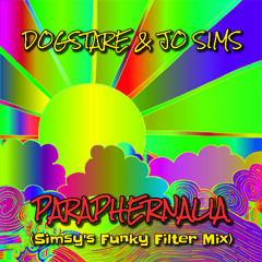 PARAPHERNALIA (Simsy's Funky Filter Mix)