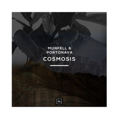Munfell & Portonava - Cosmosis (Original Mix)