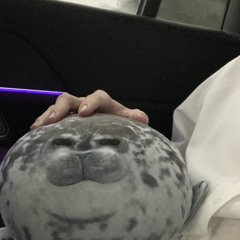Nhạc này để chill 🫠🫶