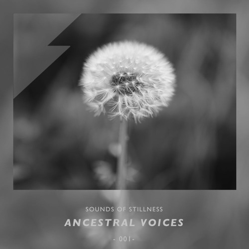Sounds of Stillness 001 - Ancestral Voices