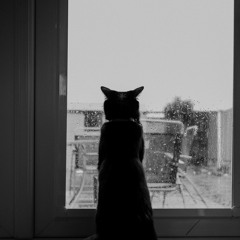 Fading Light Of The Night