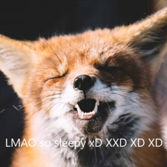Chatting Foxes