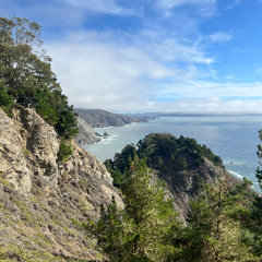 Call Curtis - 15/11/2025