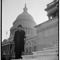 color boss dyed - alright