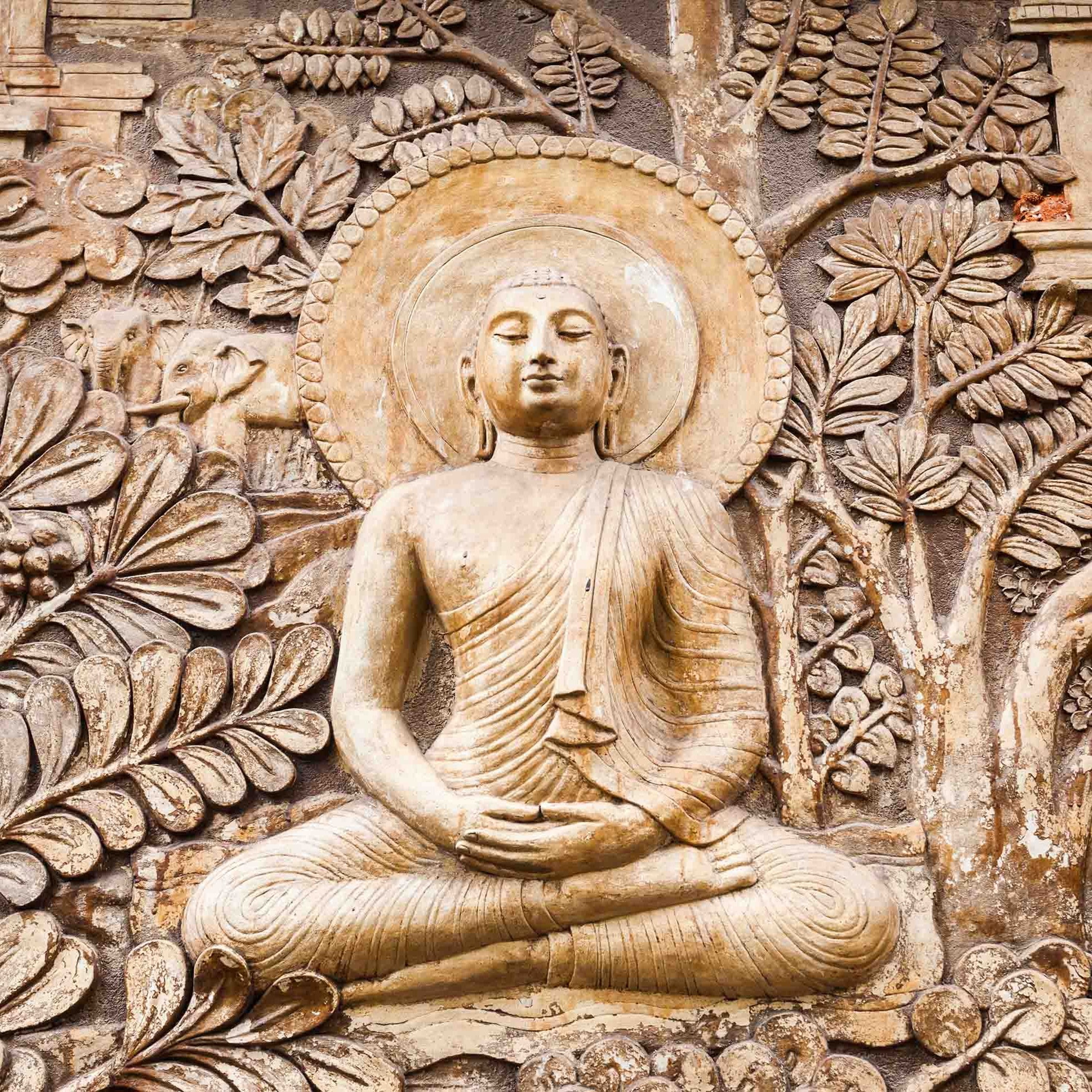Associazione Kalyanamitta: Meditazione, Mindfulness, Buddhismo