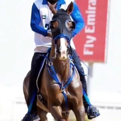 مسفر السندوانه-هجن زعبيل🌪️