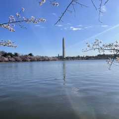 Washington DC (Official Audio)