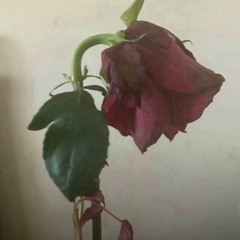 he hit the worm [prod. @kaizzr_]