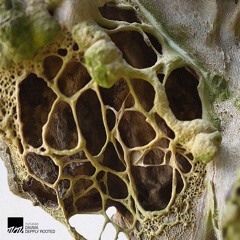 DAVMA - Depply Rooted [TUTU040]