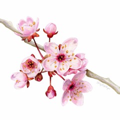 From You