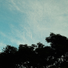 Log_20250813（demo）