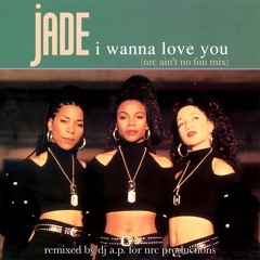 I Wanna Love You (NRC Ain't No Fun Mix)