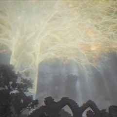 Ambient