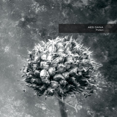 Conditioned (2017 Remastered)