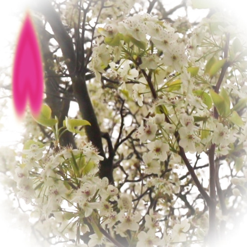 saw you in a dream (bt + baredex)