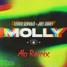 Molly - Alo Remix (Extended)