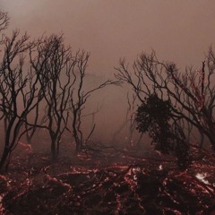 higher than shit p.1kairfrii