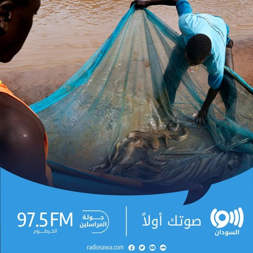 المعوقات أمام قطاع الأسماك في السودان