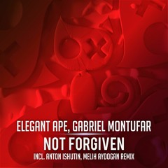 Gabriel Montufar, Elegant Ape - Not forgiven ( Anton Ishutin Remix )