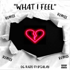 "WHAT I FEEL" (Remix) x Og Razo Ft. D Salay